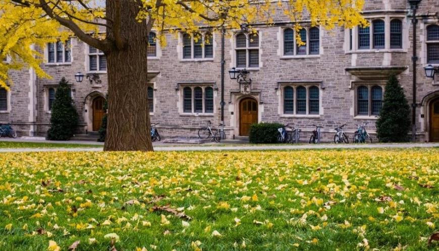 Princeton University